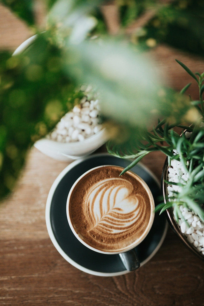 Latte in a black saucer on a wooden table surrounded by deep green plants.